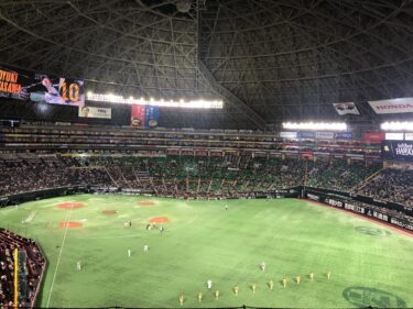 「ビクトリーウィング」の「JAなごみシート」