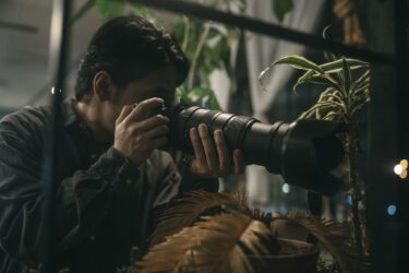 「芸能人の不祥事が与える影響：社会への波紋を徹底解析」